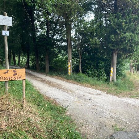 Le Giuncaie - Vigna Con Alloggio Montescudaio Eksteriør billede
