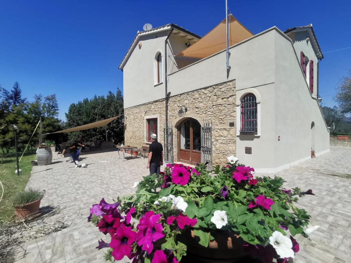 Le Giuncaie - Vigna Con Alloggio Montescudaio Eksteriør billede