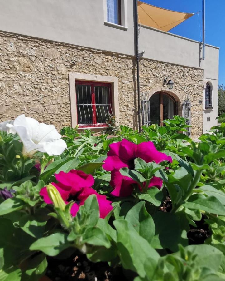 Le Giuncaie - Vigna Con Alloggio Montescudaio Eksteriør billede