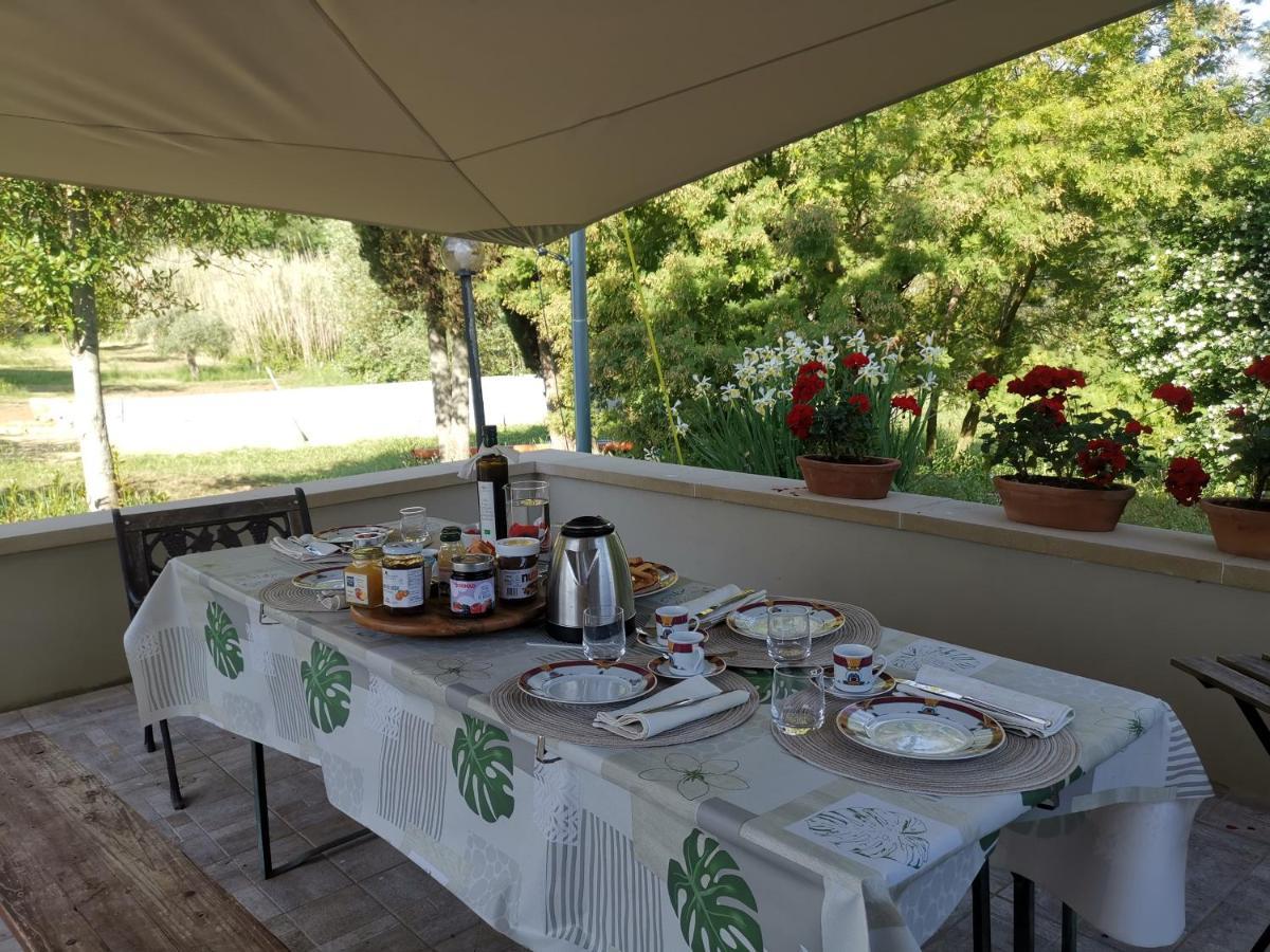 Le Giuncaie - Vigna Con Alloggio Montescudaio Eksteriør billede