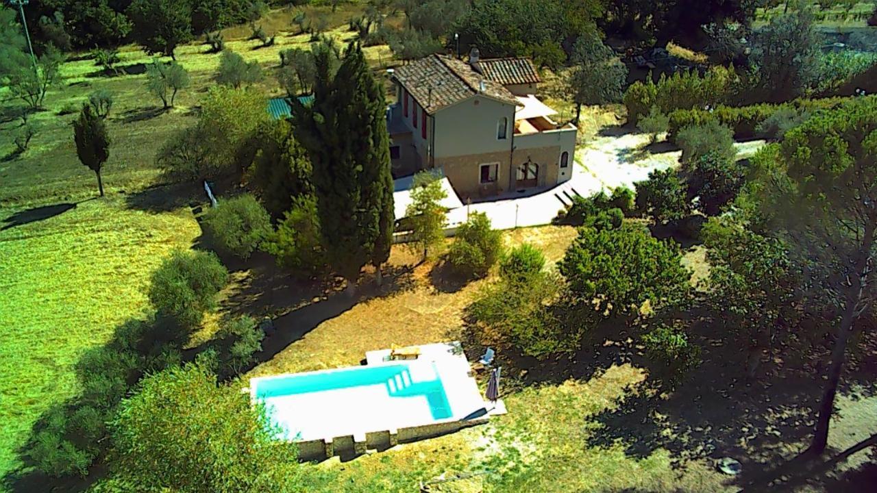 Le Giuncaie - Vigna Con Alloggio Montescudaio Eksteriør billede