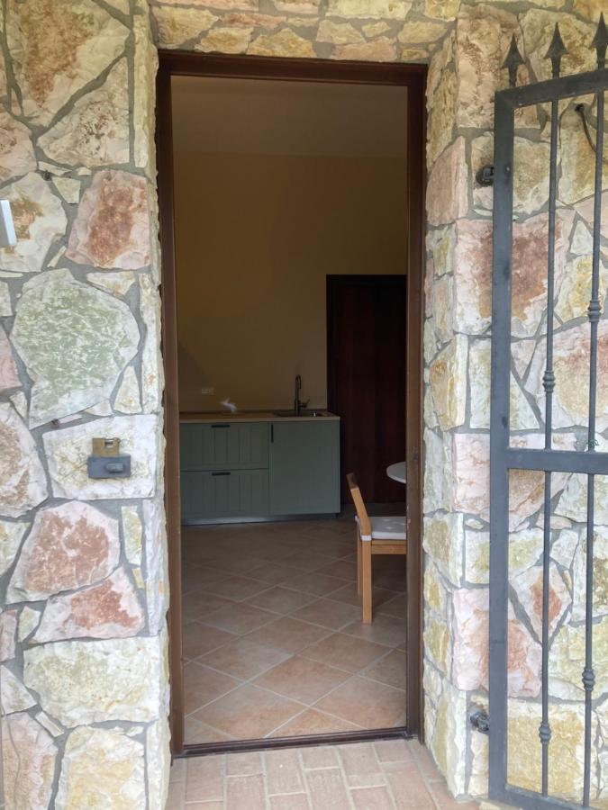 Le Giuncaie - Vigna Con Alloggio Montescudaio Eksteriør billede
