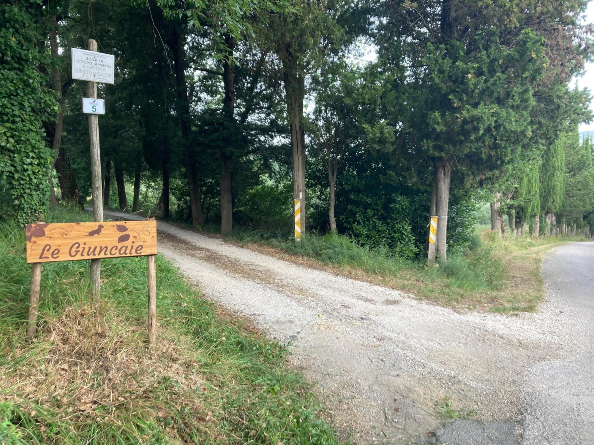 Le Giuncaie - Vigna Con Alloggio Montescudaio Eksteriør billede